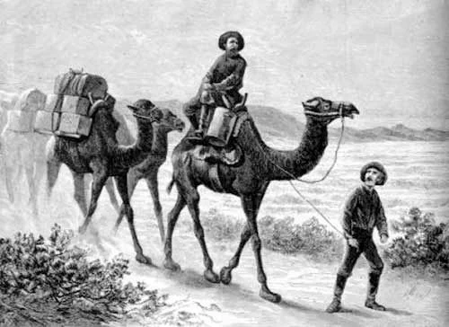 An illustration shows three camels traveling through a desert landscape, with one person leading on foot and another riding the lead camel. The camels are carrying large packs. Rocky terrain and distant mountains are visible in the background.