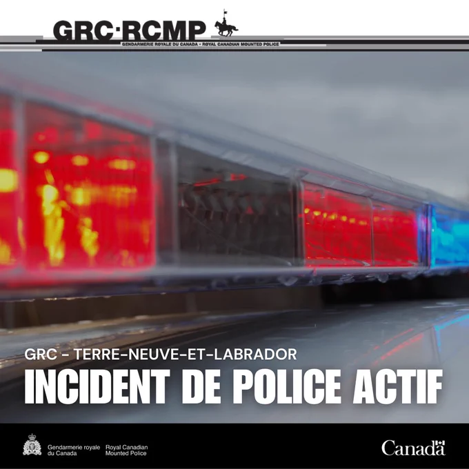 Gros plan sur les gyrophares d’une voiture de police.
Les mots « GRC – TERRE-NEUVE-ET-LABRADOR » et « INTERVENTION POLICIÈRE EN COURS » figurent sur l’image.