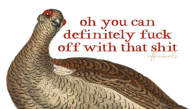 A painting of a bird next to the words "oh you can definitely fuck off with that shit"