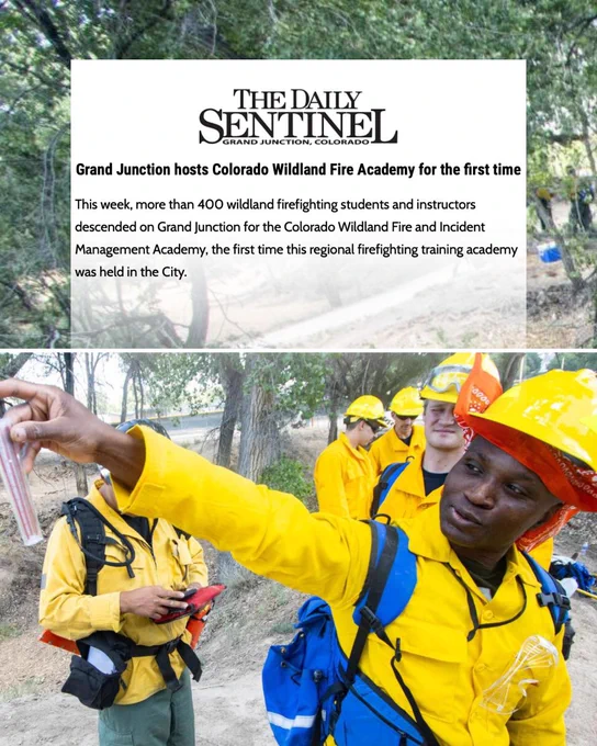 Wildland firefighting students in yellow gear practice training exercises in a wooded area during Colorado's first regional academy in Grand Junction.