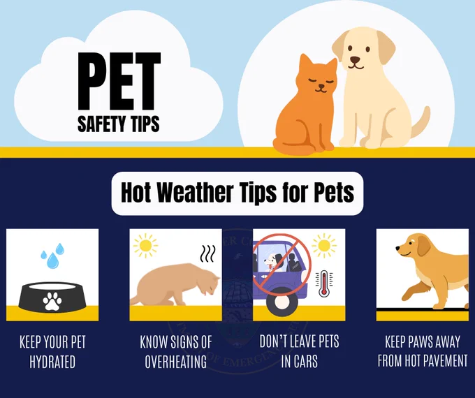 A digital graphic with the wording Pet Safety Tips: Hot weather tips for pets. A small graphic showing a water bowl with the wording: Keep your pet hydrated; a graphic of a warm cat with the wording: Knows signs of overheating; a small graphic with a pet in a car when it is warm outside with the wording don't leave pets in cars; and a final small graphic showing a dog walking on pavement with the wording: Keep paws away from hot pavement.
