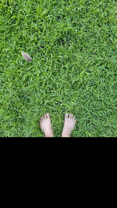 Grounding