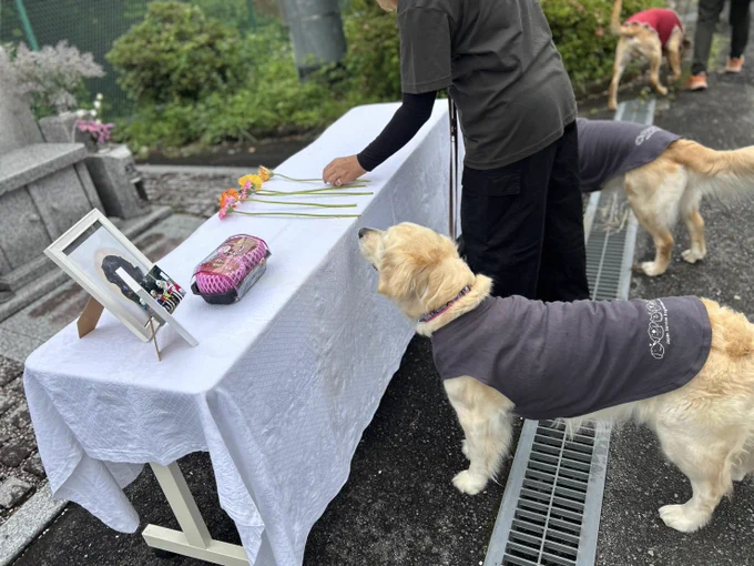 慰霊祭の様子 テーブルの上に鮮やかなオレンジや黄色、ピンクのお花を献花してくださっている 足元にはグレーの服を着たゴールデンレトリバー