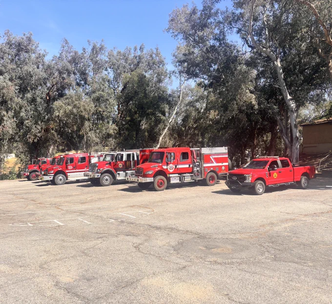 Six red fire apparatus parked in a line in front of large green trees.