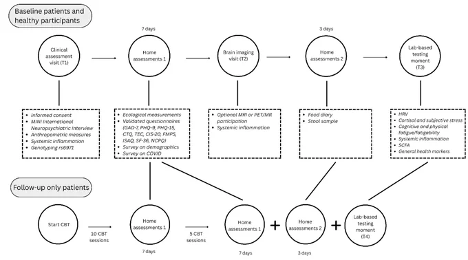 Figure 1. Overview of the cross-sectional and longitudinal parts of the study design