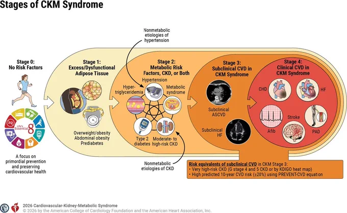 https://www.jacc.org/doi/10.1016/j.jacc.2026.05.008 