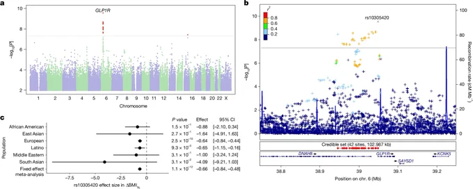Fig. 1: Genetic associations with GLP1 medication efficacy.