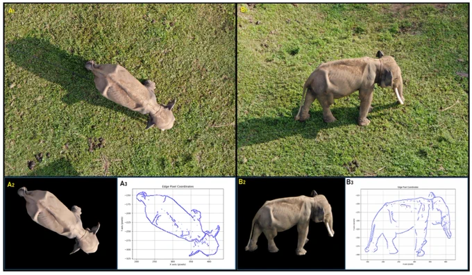 Illustration of pre-processing up to the edge detection process: (A1) original top-view image; (A2) segmented top-view image after background removal; (A3) edge pixel coordinates of the top-view image; (B1) original side-view image; (B2) segmented side-view image after background removal; (B3) edge pixel coordinates of the side-view image.