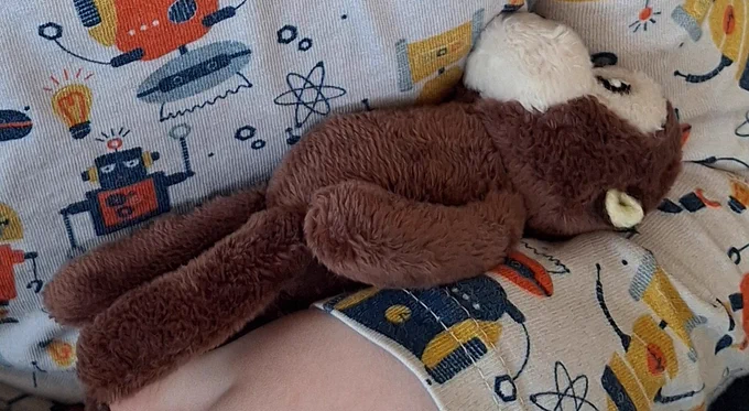 Kleines Affenkuscheltier auf dem Arm eines 3jährigen mit Roboterpullover