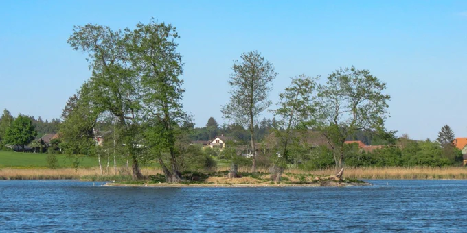 Grosse Insel im Inkwilersee, es grünt ab Frühjahr 2026 wieder
