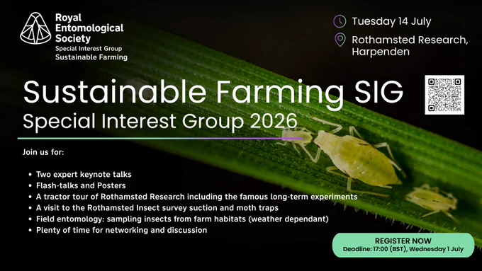 Close-up of green aphids on a leaf promoting the Royal Entomological Society's Sustainable Farming SIG event at Rothamsted Research on July 14, 2026.