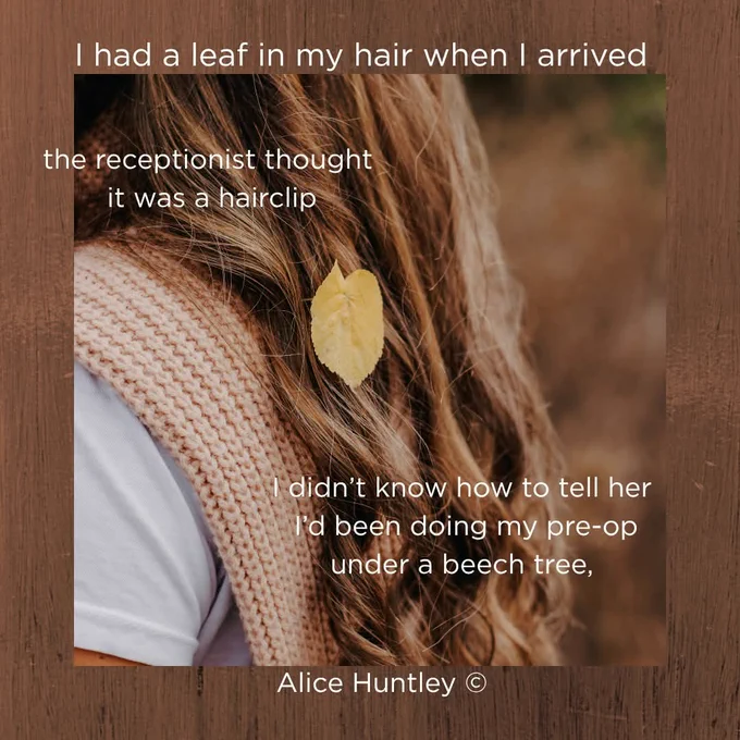 Photo of a leaf in blonde hair. Title: I had a leaf in my hair when I arrived. Quotes: 'the receptionist thought it was a hairclip' and 'I didn't know how to tell her I'd been doing my pre-op under a beech tree'. Poet: Alice Huntley.