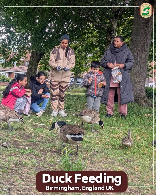 Kindness to animals is a reflection of humanity.🦆

At Hydes Road Open Space and Play Area, Wednesbury, Birmingham (UK), volunteers and children spent quality time feeding ducks and caring for nature. This simple act of compassion brought joy to the birds while spreading the message of love and coexistence with all living beings.

Every act of kindness, no matter how small, makes the world a better place.