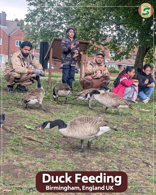 At Hydes Road Open Space and Play Area, Wednesbury, Birmingham (UK), volunteers and children spent quality time feeding ducks and caring for nature. This simple act of compassion brought joy to the birds while spreading the message of love and coexistence with all living beings.

Every act of kindness, no matter how small, makes the world a better place.