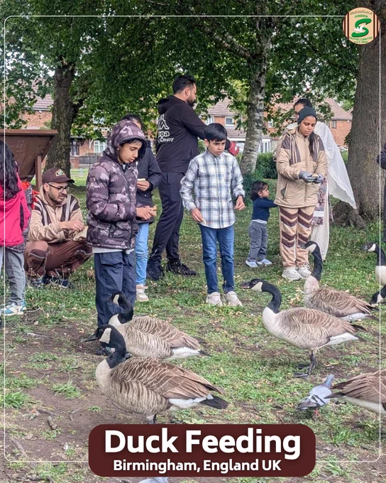 At Hydes Road Open Space and Play Area, Wednesbury, Birmingham (UK), volunteers and children spent quality time feeding ducks and caring for nature. This simple act of compassion brought joy to the birds while spreading the message of love and coexistence with all living beings.

Every act of kindness, no matter how small, makes the world a better place.