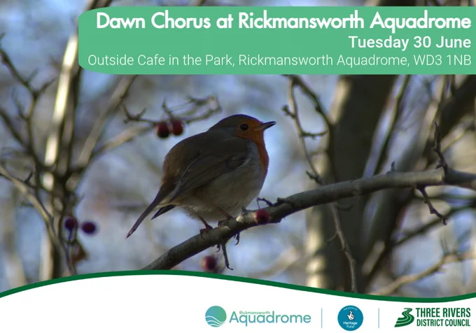 Image of a robin in a tree. Text reads, Dawn Chorus at Rickmansworth Aquadrome. Tuesday 30 June. Outside Café in the Park, Rickmansworth Aquadrome, WD3 1NB