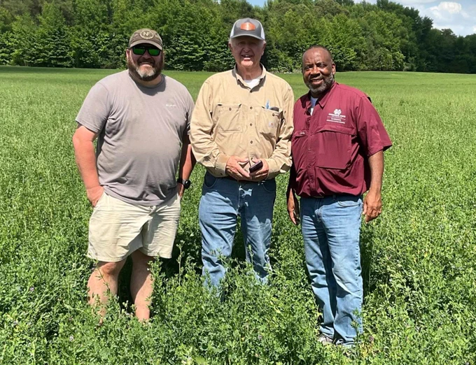 Three men standing in a lush green field under a clear sky, dressed casually in shorts, jeans, and shirts, surrounded by dense vegetation.