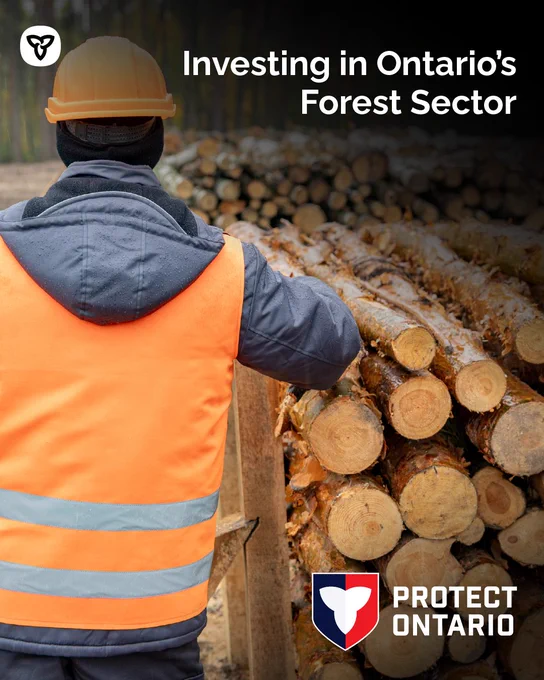 Text: Investing in Ontario’s Forest Sector
