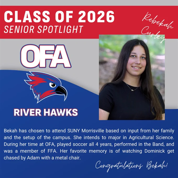 Curley Senior Graphic