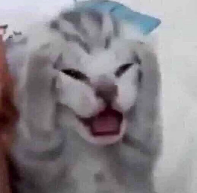 ياربي ليه انا حظي شين معي قروب يجلط مايبغى يشتغل ليه ليه ليه طيب تعلمو نفروبكم يطلعون قبل البرزنتيشن بيوم
