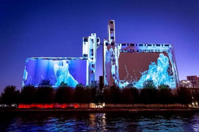 This image shows the Canada Malting Co. building at night, illuminated with vibrant blue and white artistic projections. Trees line the bottom of the building, and a calm body of water is in the foreground, reflecting the lights. The sky is a deep twilight blue.