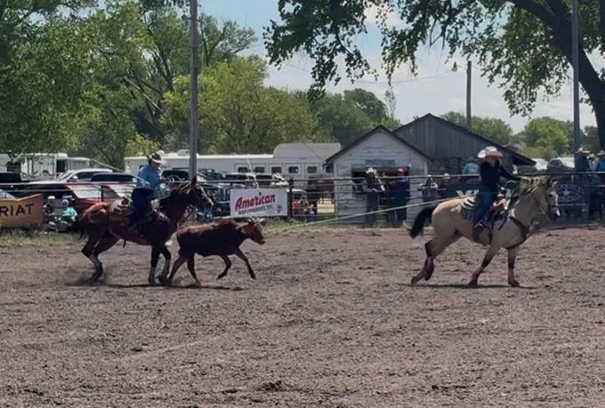 rodeo