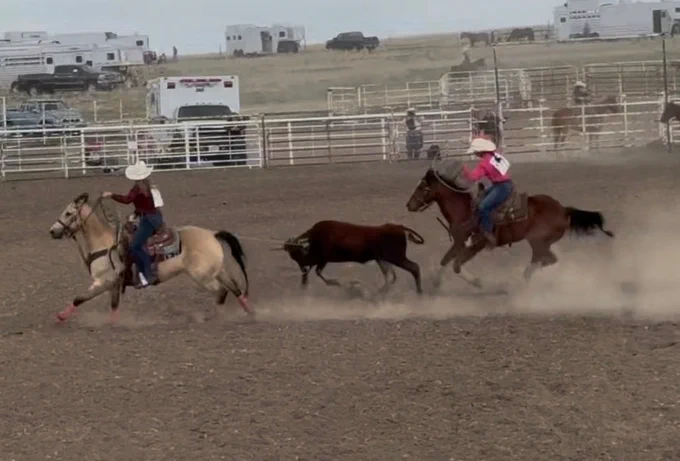rodeo