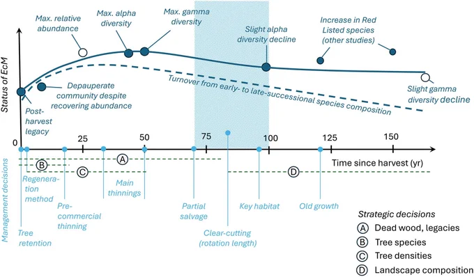 Ectomycorrhizal dynamics in a timeline of boreal forest planning and assessment. 