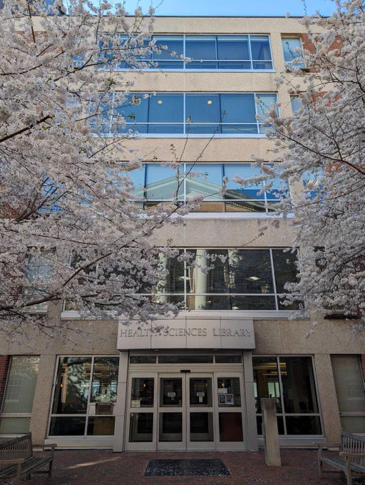 Entrance of Health Sciences Library framed by blooming cherry blossom trees under a clear blue sky.