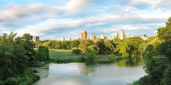A view of Turtle Pond and the Great Lawn in Central Park.