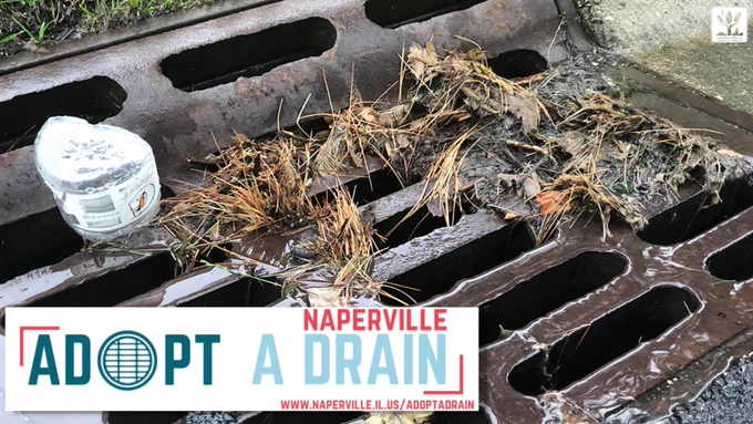 Close-up of a storm drain on the street partially blocked by grass, leaves  and other debris outdoors with t he City of Naperville tree logo, Adopt A Drain program logo and website link www.naperville.il.us/adoptadrain. 