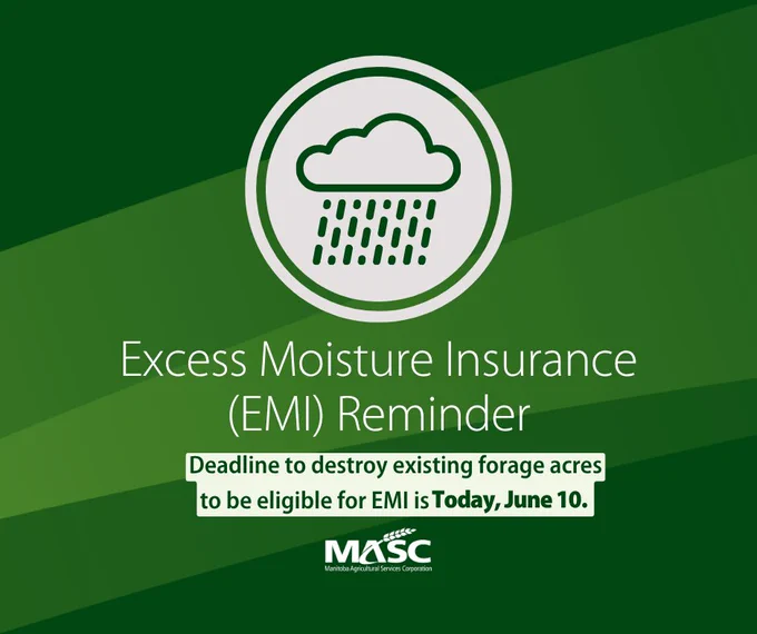 Reminder for Excess Moisture Insurance eligibility deadline to destroy forage acres by June 10.