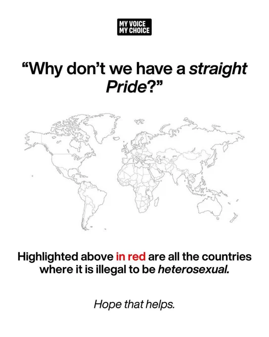 White picture with the outline of all countries in the world made by My Voice My Choice.
The text above the picture says: "why don't we have a straight pride?"
Under the picture it says "highlighted above in red are all the countries where it's illegal to be heterosexual, hope that helps"
None of the countries is highlighted in red.

