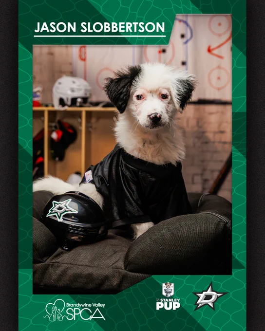 Photo of a puppy in a Stars jersey overlaid with the Stars logo and white text on a green background that reads: \"Jason Slobertson\"