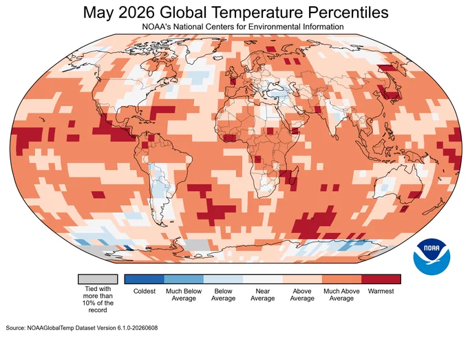 Map of the global temperature percentiles for May 2026 with warmer areas in gradients of red and orange, cooler areas in gradients of blue and gray indicates that it tied with more than 10% of the record.
