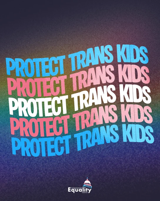 "Protect trans kids" written in the colors of the trans pride flag.