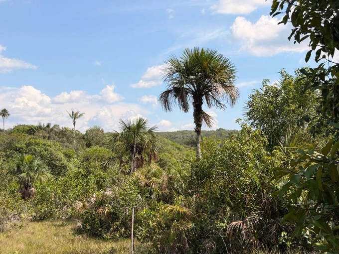 Belén de los Andaquíes, Caquetá