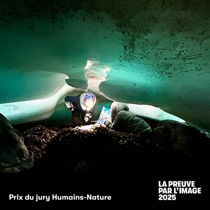 IMAGE : Photo tirée du concours La preuve par l'image 2025 nommée "Sous la glace, un savoir ancestral" par Geneviève Vachon de l'Université Laval. On y voit deux personnes cherchant des moules dans une crevasse horizontale entre le sol et un glacier au-dessus d'elles. Au bas en lettres blanches, on peut lire "Prix du jury Humains-Nature" ainsi que le nom du concours.