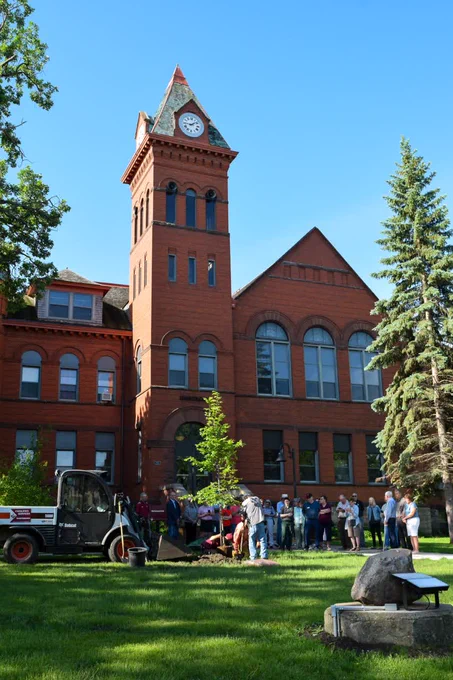 tree planting with clocktower in background