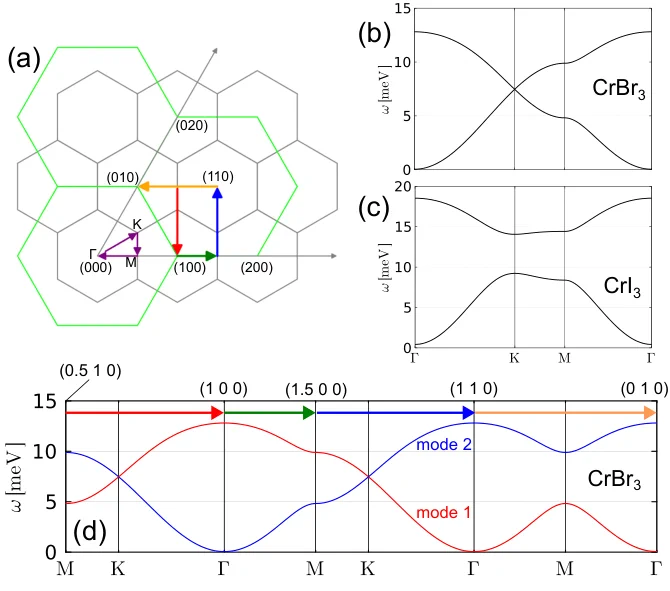 A multi-panel figure showing magnon band structures in honeycomb ferromagnets. The top left panel depicts the Brillouin zone as hexagons with labeled high-symmetry points (Γ, K, M) and green, blue, and orange paths indicating momentum cuts. Two panels on the top right show energy vs. momentum line plots for CrBr3 and CrI3. The bottom panel labels the two magnon modes as red and blue undulating lines and the momentum paths used in experiments as green, blue, and orange arrows.