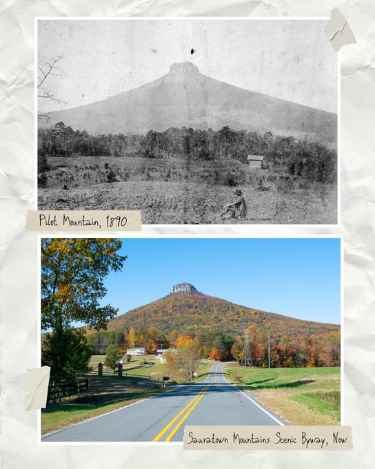 Two images of Pilot Mountain. The top image is a black and white photo labeled 'Pilot Mountain, 1890,' showing the mountain from a distance with trees and open land, a farmer sits in a field. The bottom image is a modern color photo labeled 'Sauratown Mountains Scenic Byway, Now,' depicting a road leading towards a colorful, tree-covered Pilot Mountain in autumn.