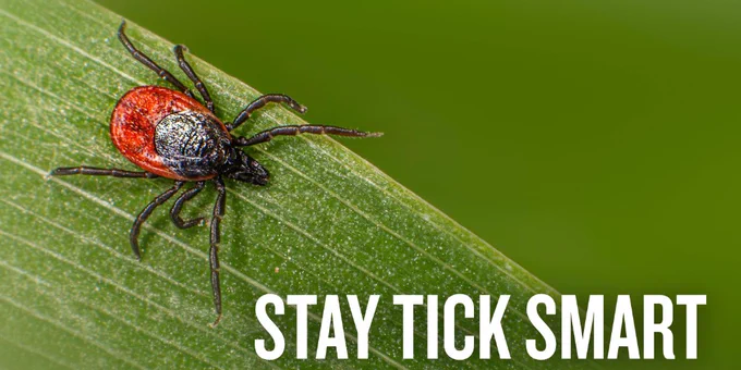 Close-up of a red and black tick crawling on a green leaf with the text 'Stay Tick Smart' beside it.