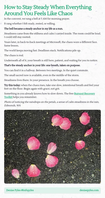 A screenshot essay titled 'How to Stay Steady When Everything Around You Feels Like Chaos'. The essay discusses the importance of finding steadiness and calmness amidst chaos, drawing on personal experiences from living in a convent and working at Microsoft. It emphasizes the power of intentional breathing as an anchor in stressful situations. The text encourages readers to take one slow, intentional breath to regain grounding during chaotic moments, and suggests that even small pauses can provide a sense of peace. Includes a reference to a Burnout Recovery Toolkit for further support. The image features raindrops on petals, representing calmness in the rain.