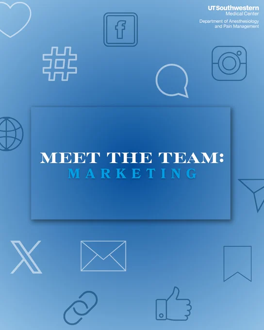 Meet the team: marketing