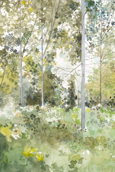 Watercolour painting of a woodland.