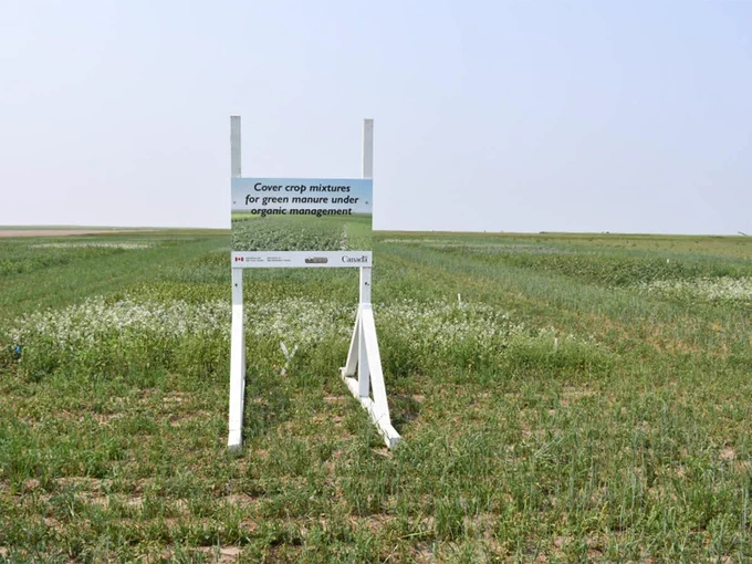 AAFC ploughed under 19 years of organic research at Swift Current. Why that loss should worry conventional farmers too.