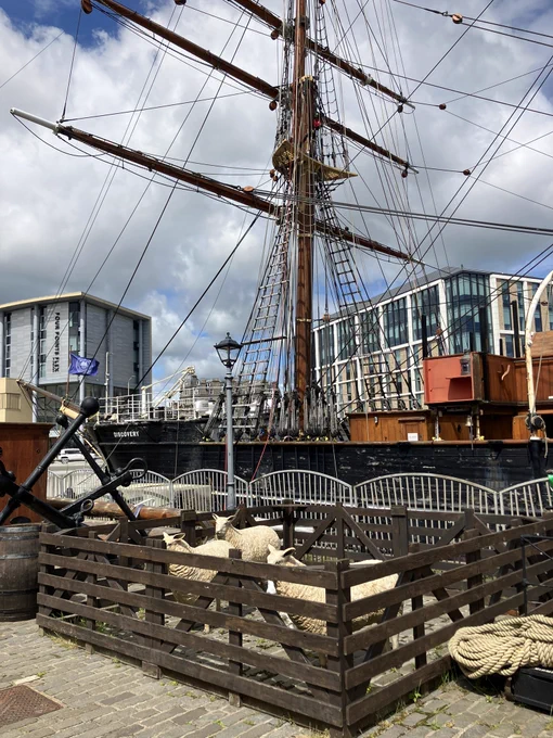 The bow of the RRS Discovery showing the fore-mast and some models of live sheep, that the expedition took on board at its last port of call in New Zealand.  The live sheep would provide some very welcome fresh meat for the expedition