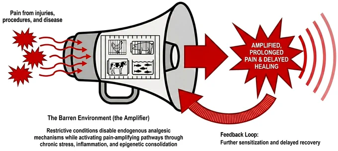 Figure 1 from the linked paper. "Conceptual illustration of the pain echo chamber. Pain from injuries, procedures, and disease enters a barren environment that functions as an amplifier — disabling endogenous analgesic mechanisms (including those triggered by movement, behavioral engagement, social contact, and sleep) while simultaneously activating pain-amplifying pathways — resulting in amplified, prolonged pain and delayed healing. A feedback loop of further sensitization and impaired recovery sustains the cycle." doi.org/10.3389/fanim.2026.1736142