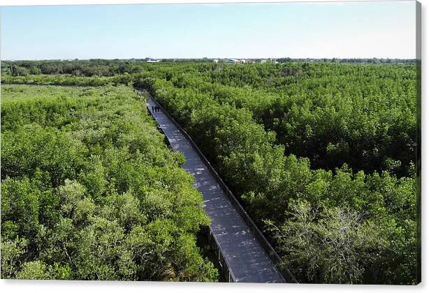 Clear your mind and confidently embrace your solitude. Strengthen your soul and thoughts, and then deliberately walk away.
"Walk Away" From the "Soul Nourishment" Collection
https://lizette-tolentino.pixels.com/featured/walk-away-lizette-tolentino.html?product=metal-print
#Nature #Walking #InspirationalPhotography