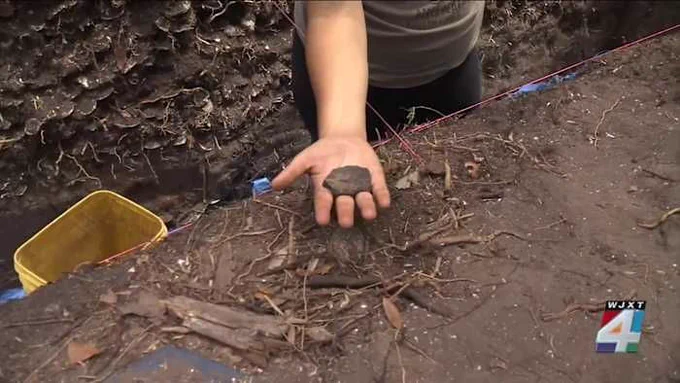 Archaeology field school digs into 3,000 years of native Jacksonville history.
